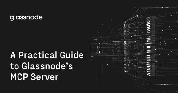 A Practical Guide to Glassnode’s MCP Server