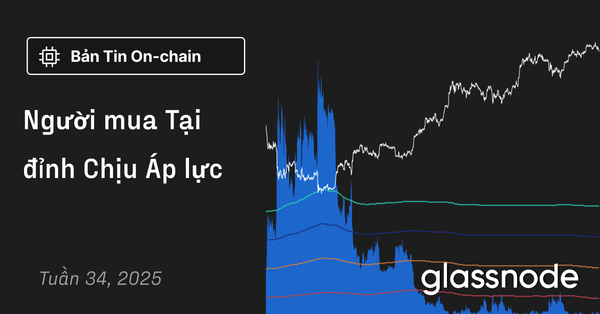 Người mua Tại đỉnh Chịu Áp lực