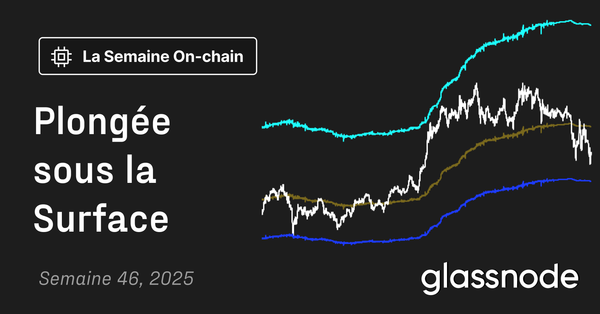 Plongée sous la Surface