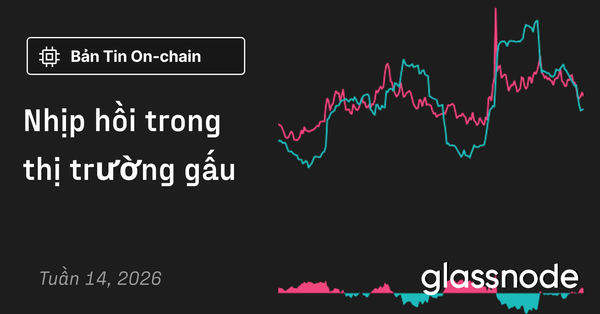 Nhịp hồi trong thị trường gấu