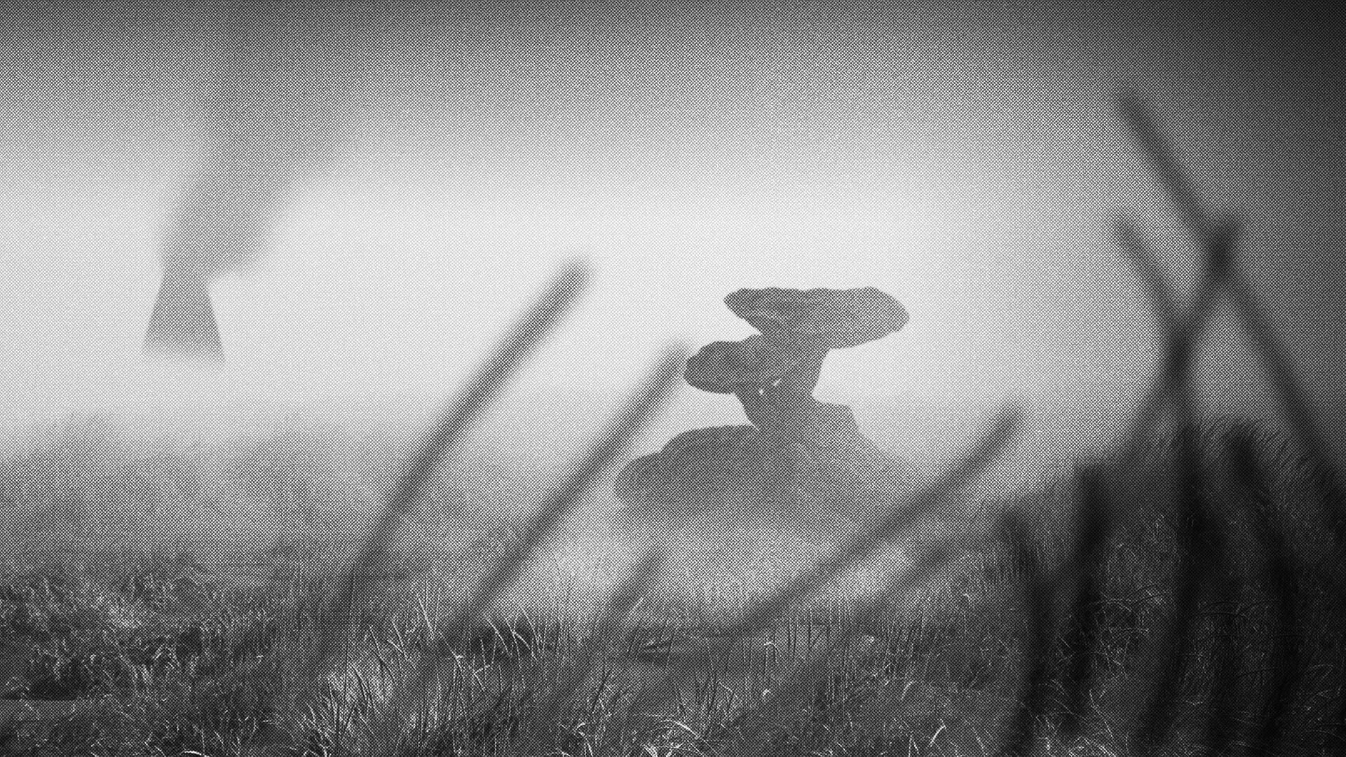 A creature crouches in a misty field of tall grass in Signet City