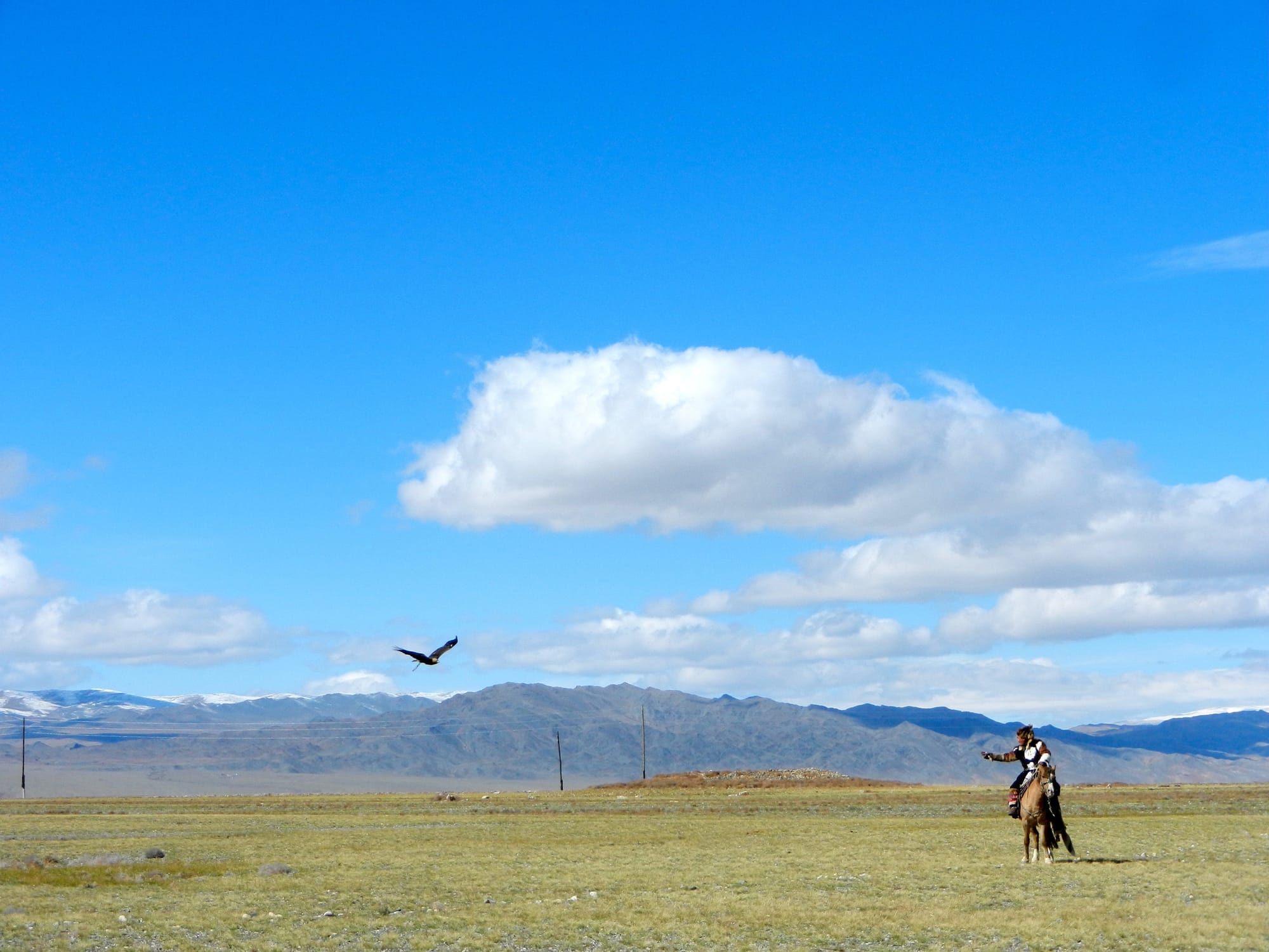 A lone horseman crosses an open Mongolian steppe under a wide blue sky as a bird circles overhead.