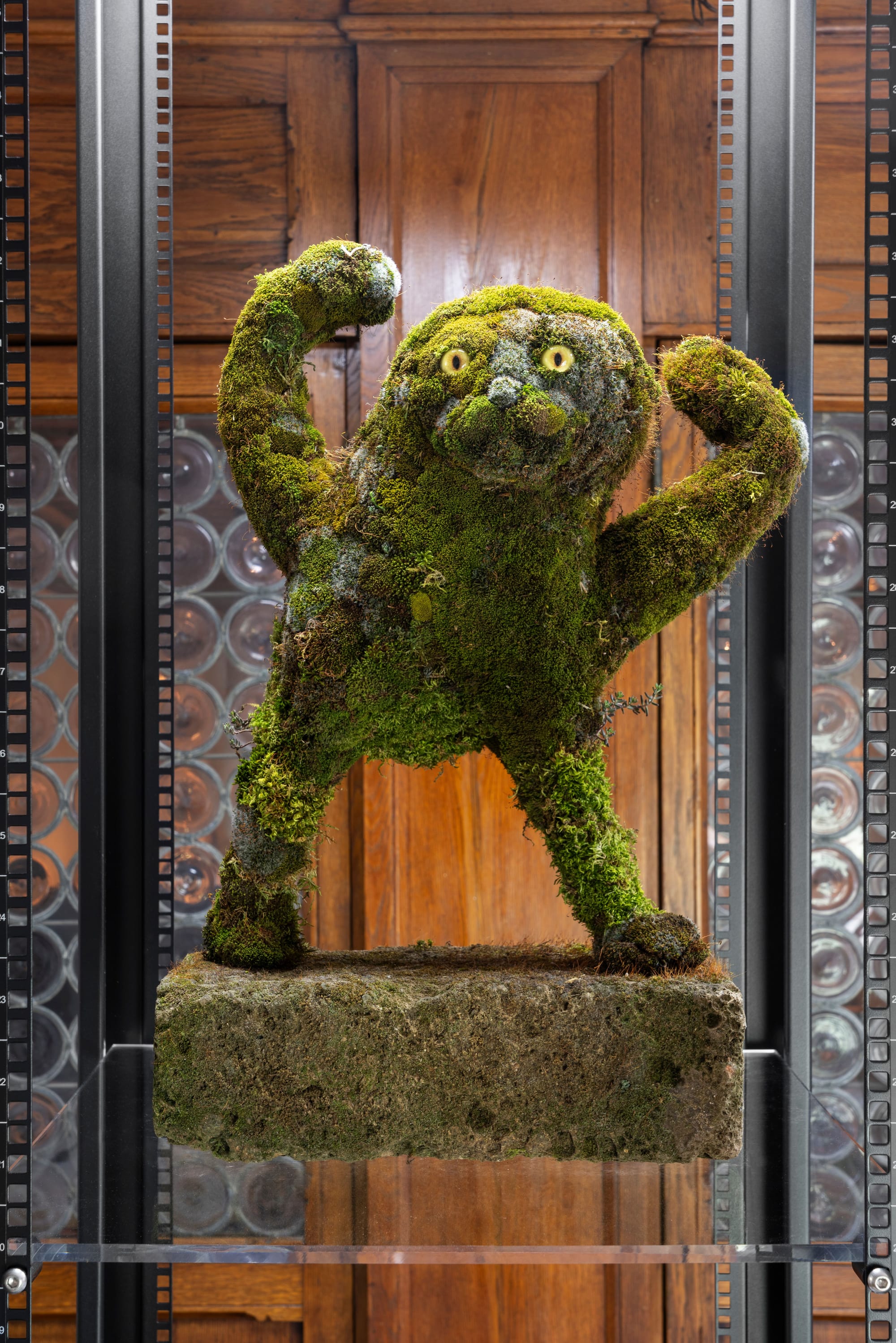 A moss sculpture of the cursed cat meme, paws raised, displayed in a dark wooden niche