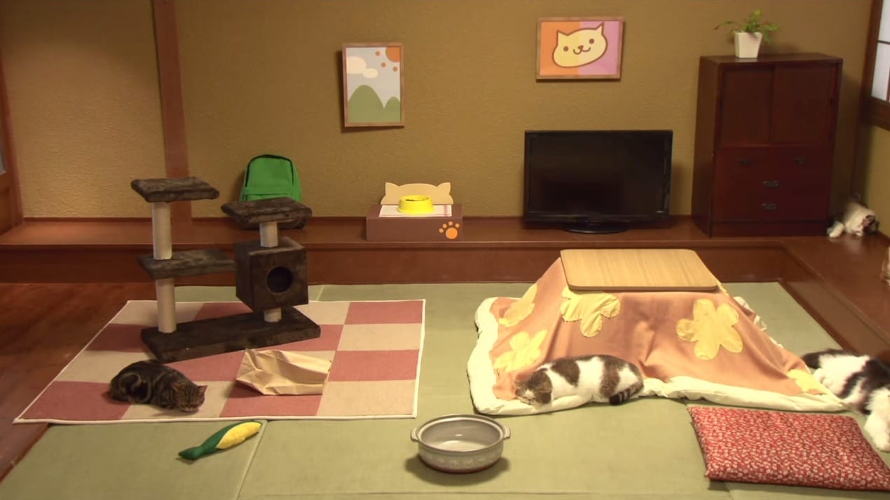 Real-Life Neko Atsume