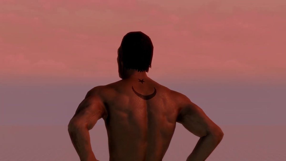 An avatar with a crescent moon tattoo stands facing a dusk sky in Skyrim