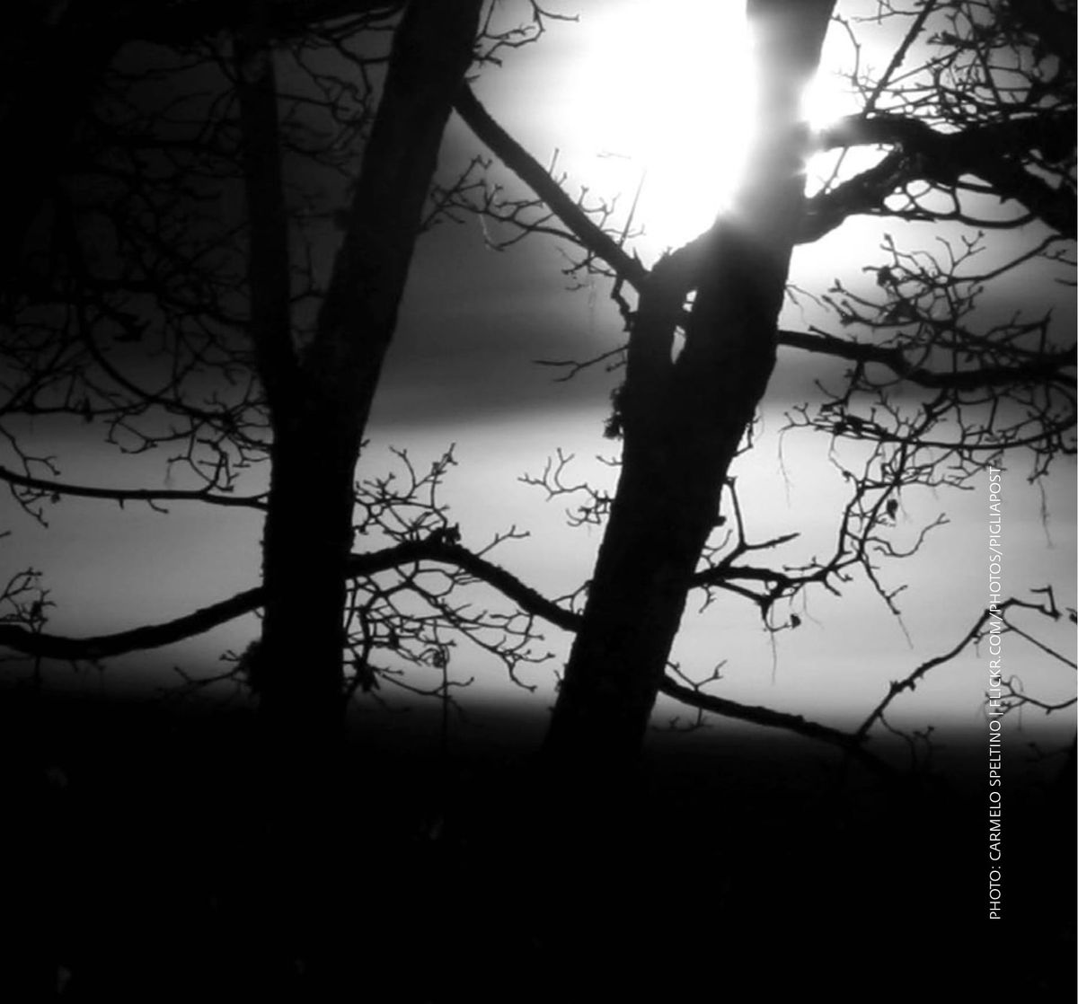 Photograph by Carmelo Speltino