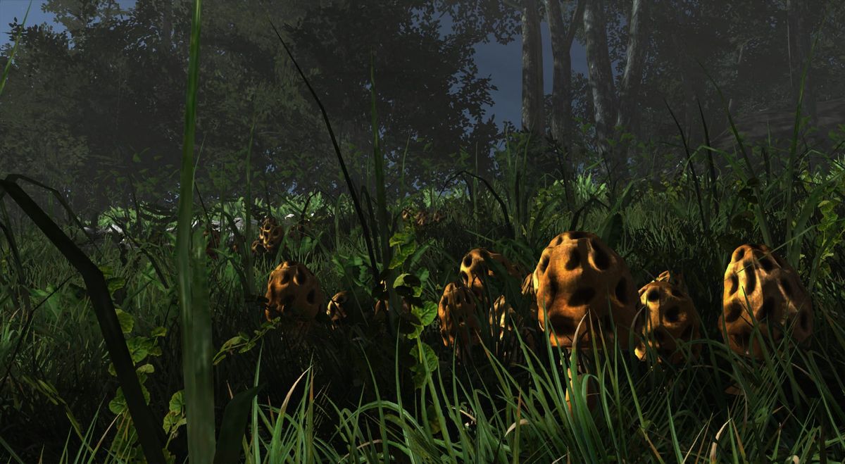 Dense grass and foliage in a dark forest clearing lit by a low sun, from the game Miasmata.