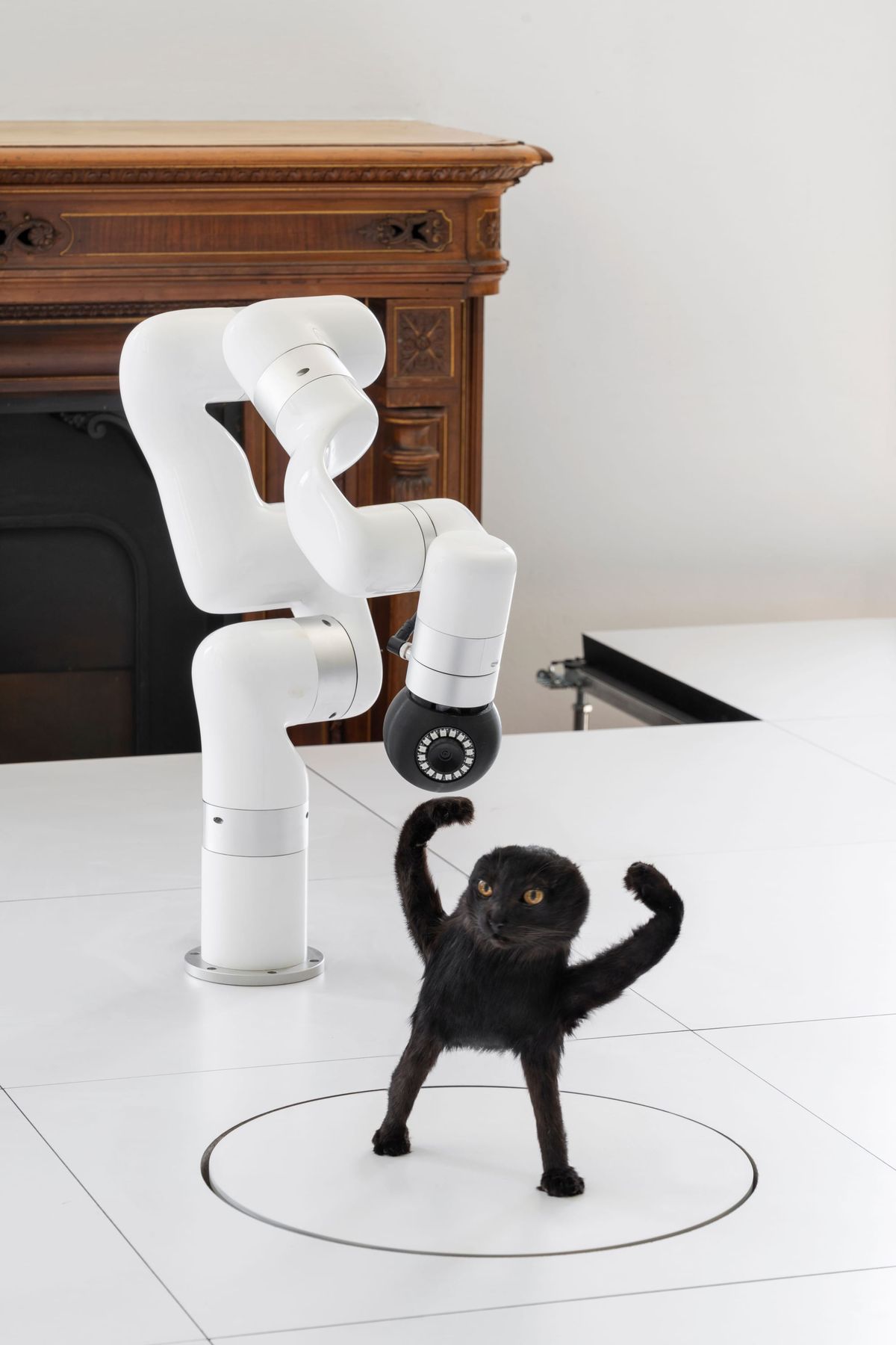 A white robotic arm with a camera photographs a small black cat figure on a turntable in an ornate office