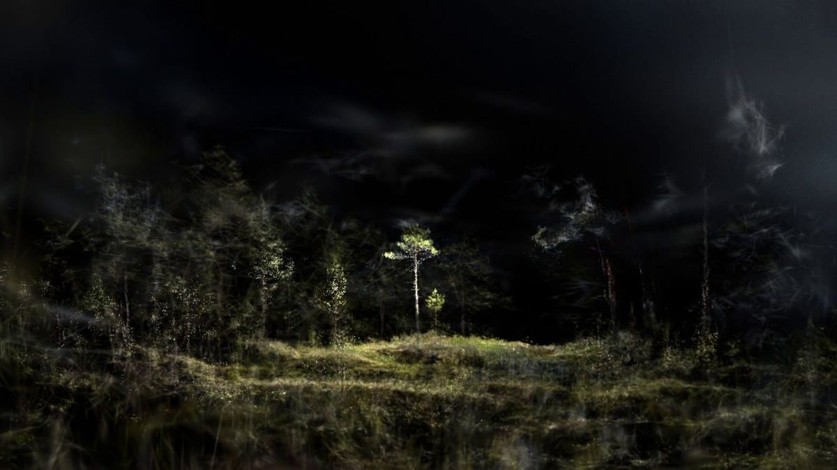 A dark, hazy rendering of a peat bog with a single small tree at its center.