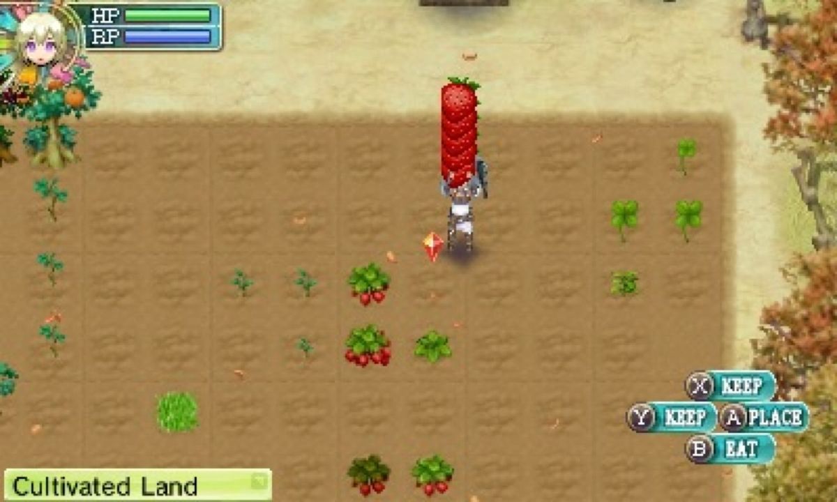Rune Factory 4 is RPG comfort food