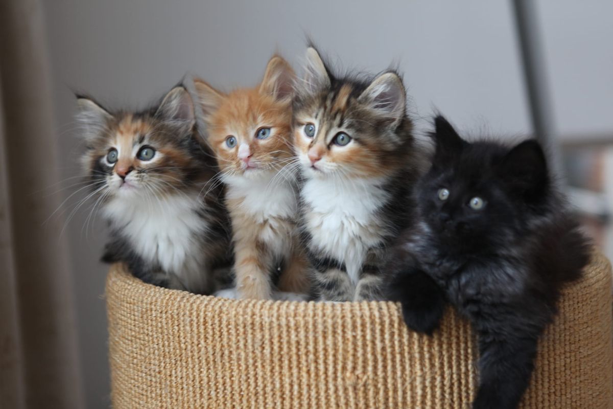 Seriously, we’re launching a Kickstarter & it’s awesome
