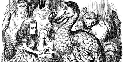 What Can Alice in Wonderland Tell Us About Gamification?