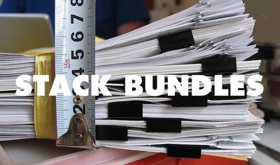 Papers, Please puts players in the shoes of immigration officers