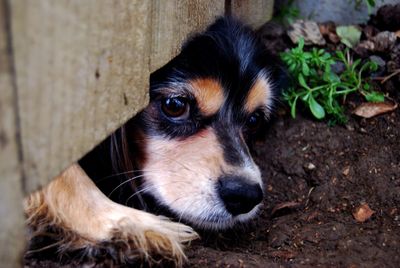 Can games’ stories get out of the way already and let us play?