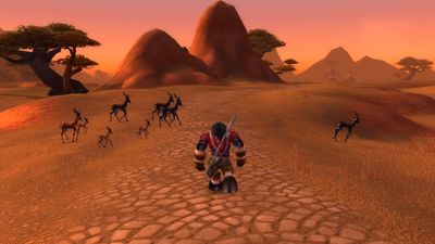 Why would some people play MMOs by themselves?