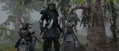 Finding a place where I don’t belong in The Elder Scrolls Online