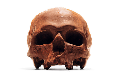 Chocolate skulls on Etsy render your cranium delicious