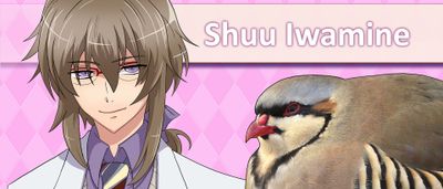 Hatoful Boyfriend isn’t quite as weird as it thinks