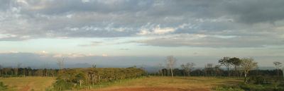 Should all videogames be free?