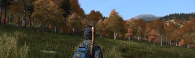 DayZ breaks my heart