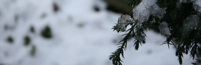 Playing The Quiet Year, a tabletop game about building communities