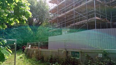 The purpose of Pokémon Go