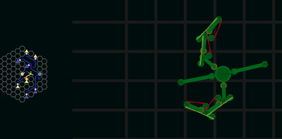 A videogame to help you understand your body