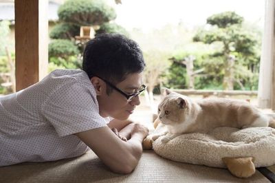 Prepare your cat butts for a live-action Neko Atsume movie