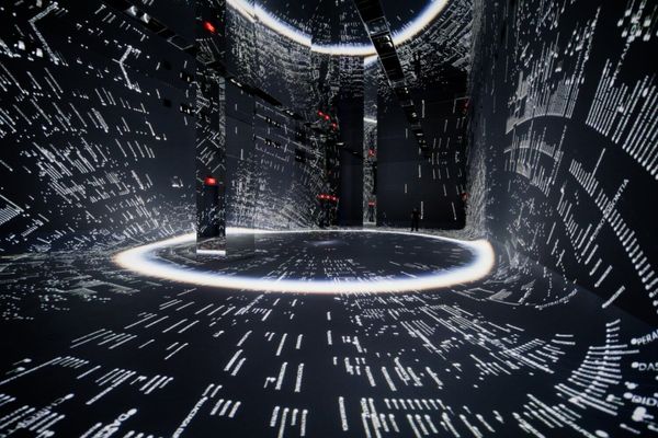 A large darkened gallery filled with floor-to-ceiling generative projections of foliage