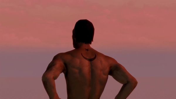 An avatar with a crescent moon tattoo stands facing a dusk sky in Skyrim