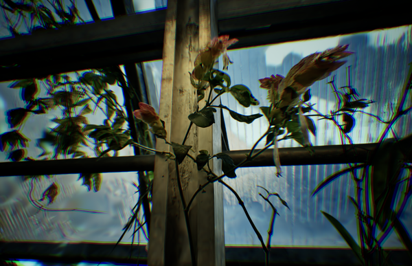 A luminous virtual plant environment from The Kuutar Garden