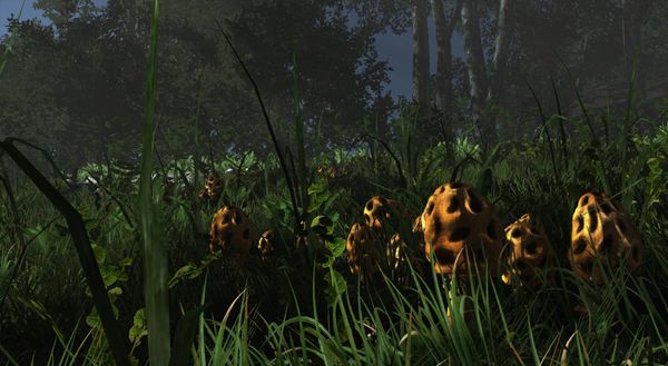 Dense grass and foliage in a dark forest clearing lit by a low sun, from the game Miasmata.