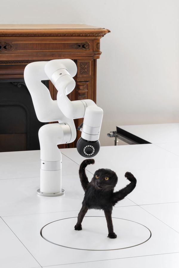 A white robotic arm with a camera photographs a small black cat figure on a turntable in an ornate office