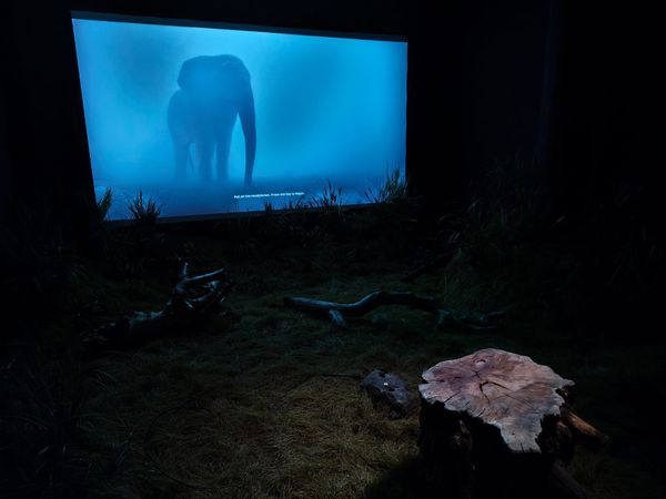 A dark gallery room with a large projection showing the war-torn landscape of the game Scent