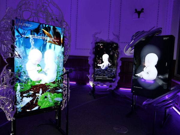 Installation view of Dreaming Babies: illi, screens showing simulated babies in virtual incubators