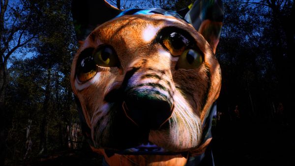 A computer-generated lynx face, distorted by a wide lens, fills the frame in a dark forest at night.