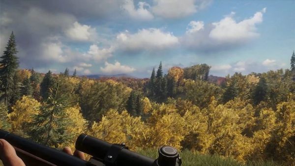 A first-person view over a rifle scope across a golden autumn forest in a hunting game