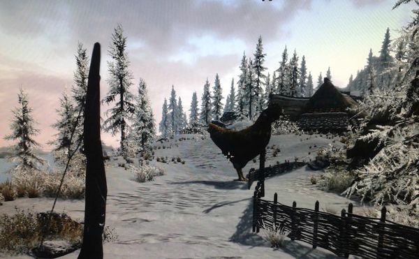 Today in Skyrim mods: This giant killer rooster means business