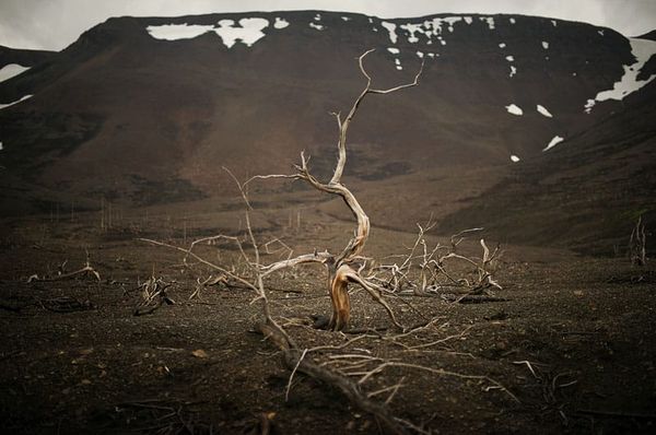 Photos from Norilsk, the ruined Russian city that’s basically Metro 2033 in real-life