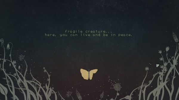 Fragile Soft Machines wants to know how you deal with hardship