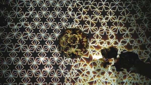Digital Arabesques enhances the splendor of Islamic art with virtual reality