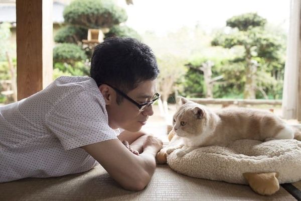 Neko Atsume