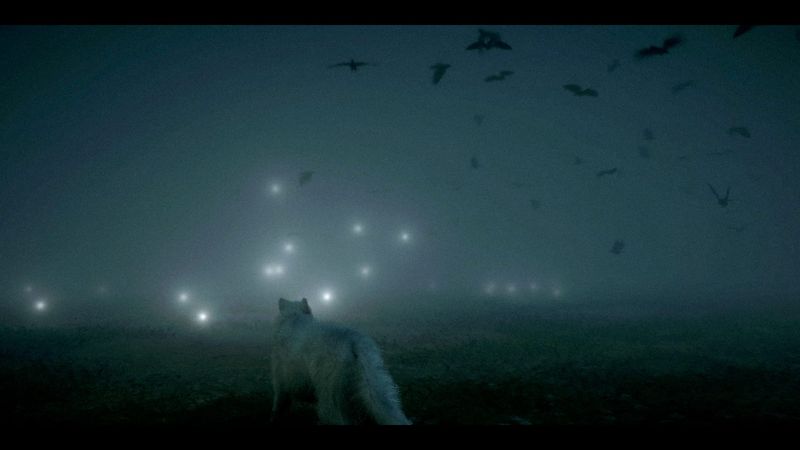 What Happens When You Can Do Nothing in a War Zone?