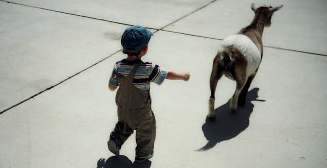 The Global Games Project: Vietnam