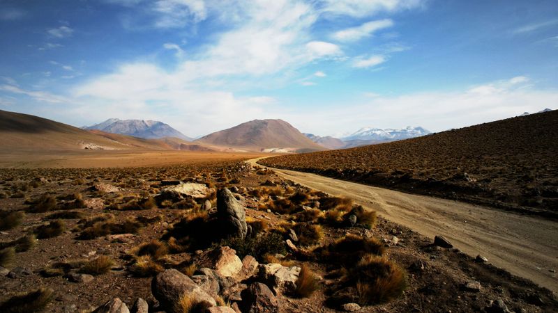 Pathfinder Adventure Card Game loses the trail and gets a little lonely