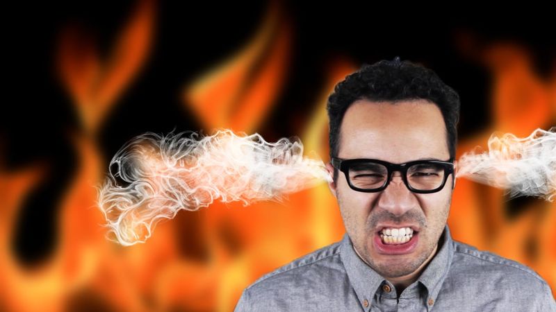 New PBS Game/Show asks if unruly fans are ruining games (spoiler: pretty much)