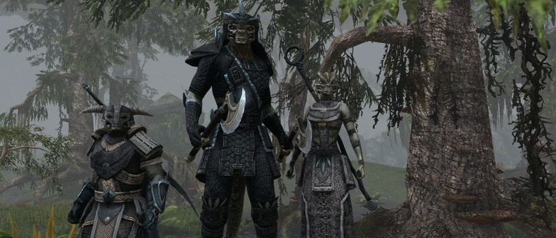 Finding a place where I don’t belong in The Elder Scrolls Online