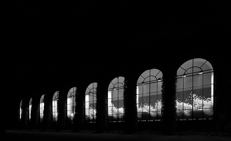 Watch packing peanuts turn into high art