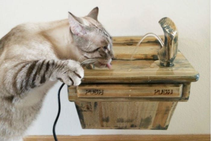 The cat drinking fountain that actually exists and can be bought with actual dollars