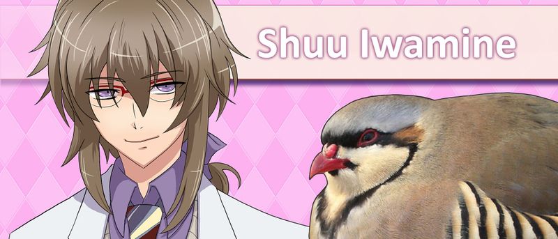 Hatoful Boyfriend isn’t quite as weird as it thinks